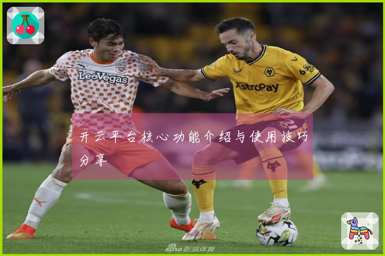 开云平台核心功能介绍与使用技巧分享