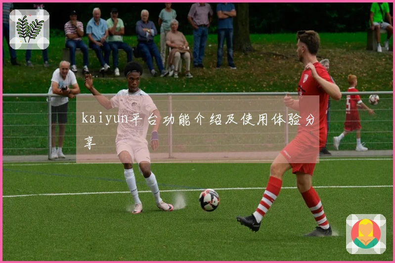 kaiyun平台功能介绍及使用体验分享